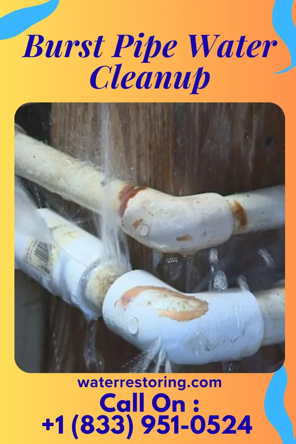 Burst Pipe Water Cleanup in Makena, HI