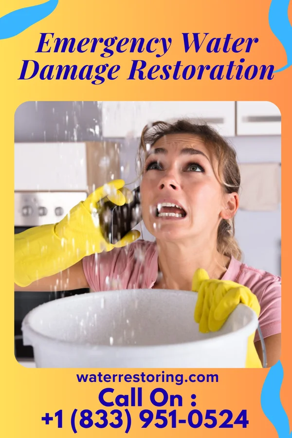 Emergency Water Damage Restoration in Makena, HI