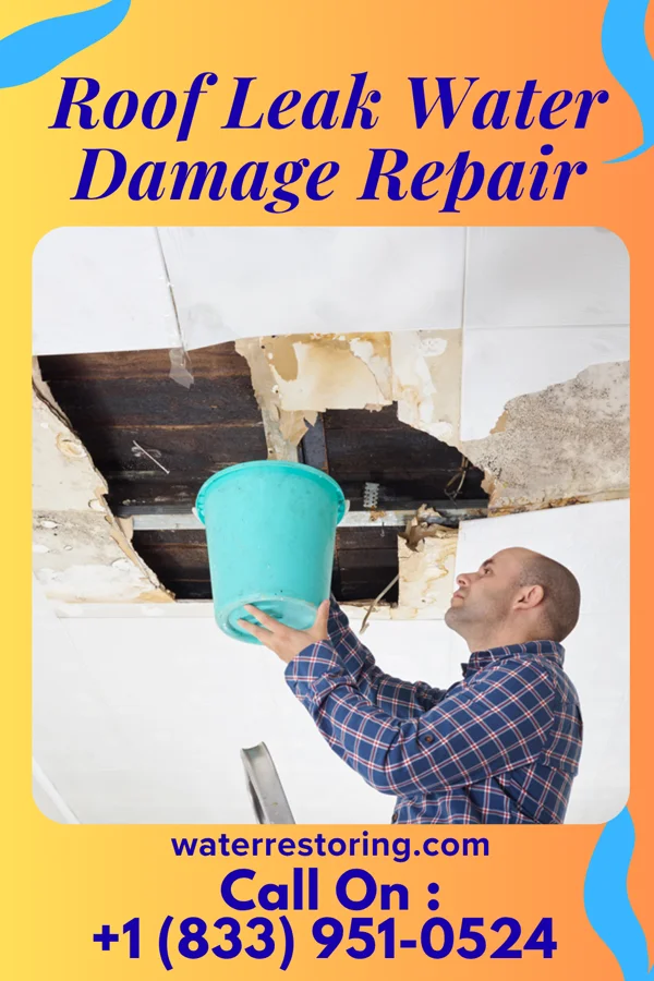 Roof Leak Water Damage Repair in Makena, HI