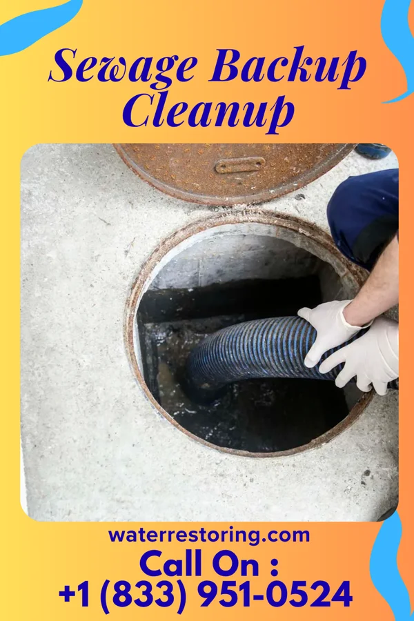 Sewage Backup Cleanup in Makena, HI
