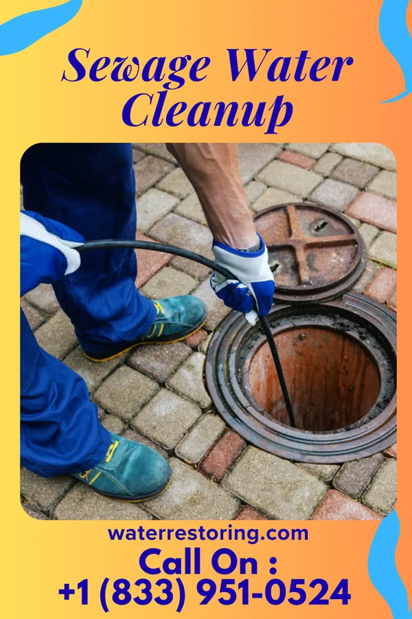 Sewage Water Cleanup in Makena, HI