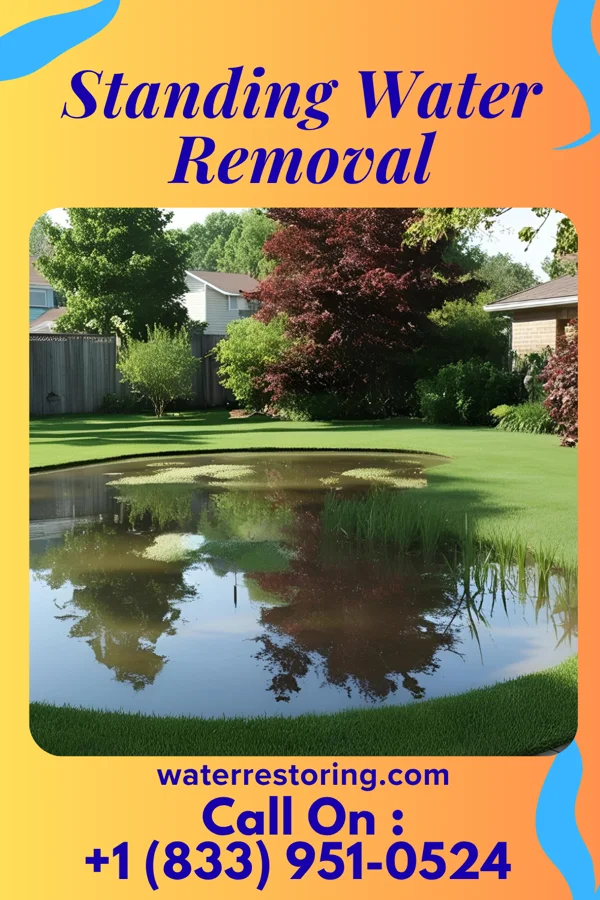 Standing Water Removal in Makena, HI